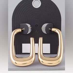 72R. Stainless Steel Frame Hoop Earrings